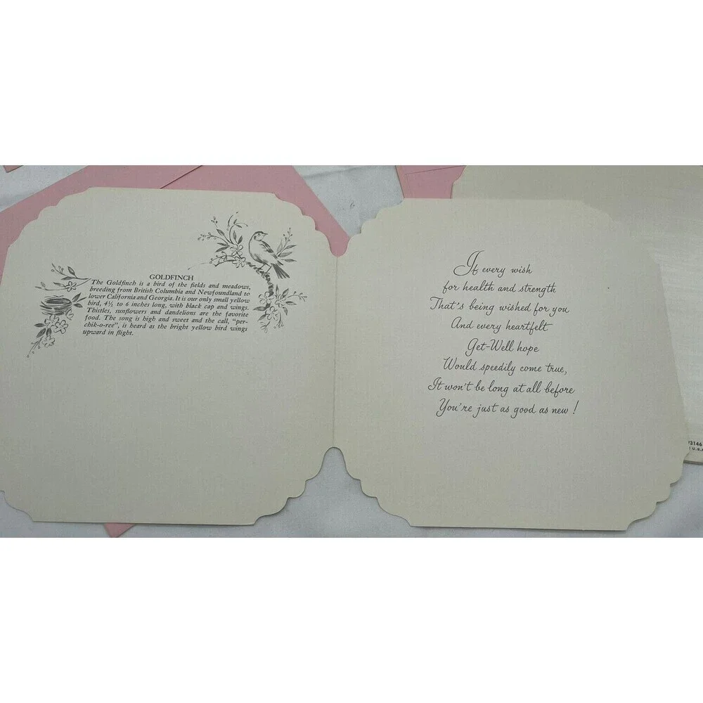 5 VINTAGE QUALITY CREST BEAUTIFUL BIRDS SCENES GREETING CARDS UNUSED ENVLEOPES